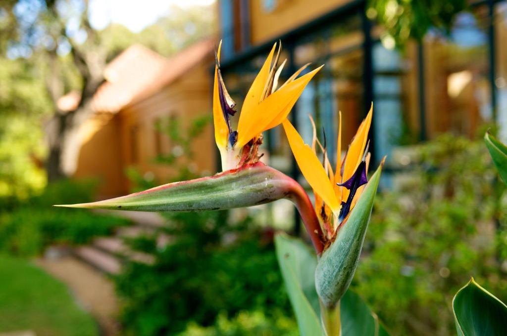 Cap Serein Guest House Cidade Do Cabo Exterior foto