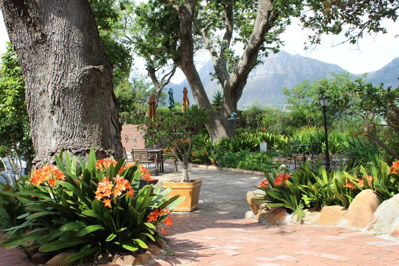 Cap Serein Guest House Cidade Do Cabo Exterior foto